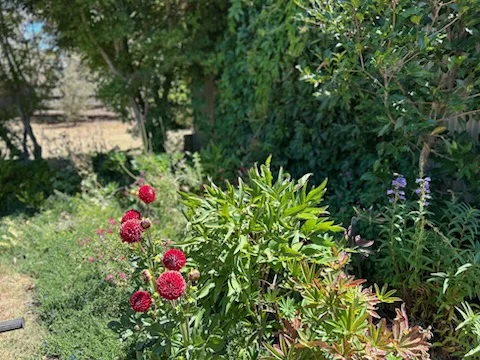 Additional image 12 of 1 Walters Street, Trentham VIC 3458