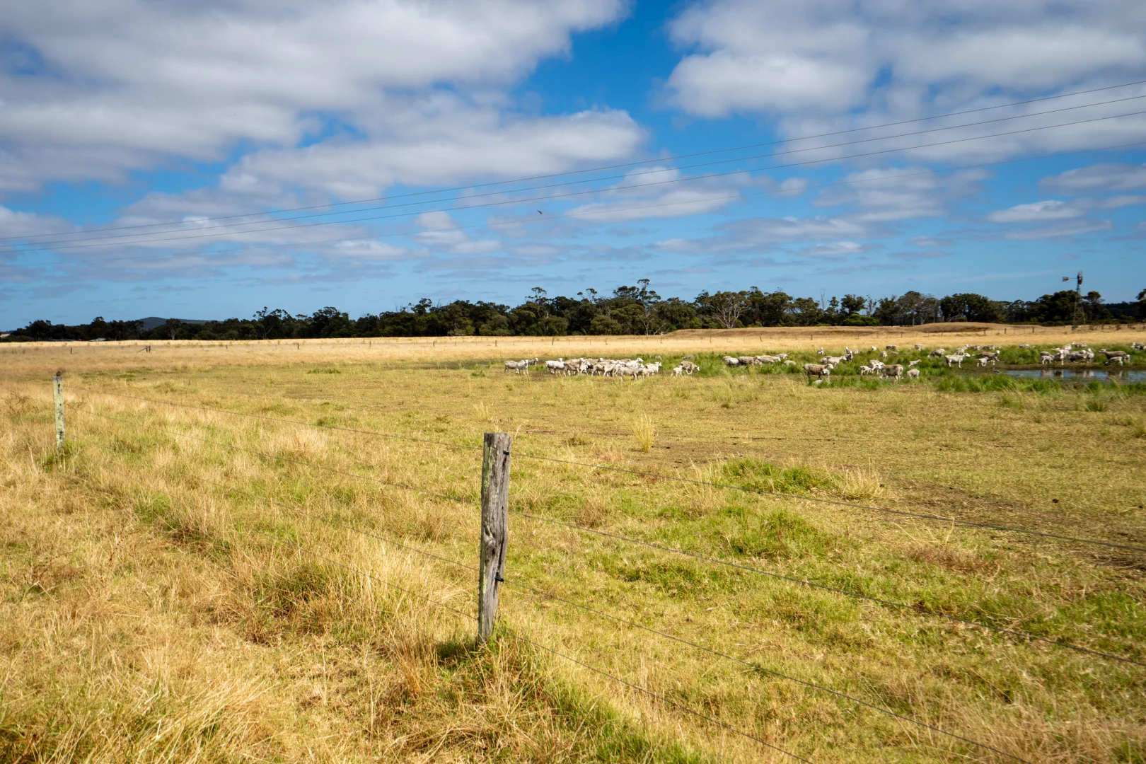 Additional image 19 of 3/43303 South Coast Highway, Manypeaks WA 6328