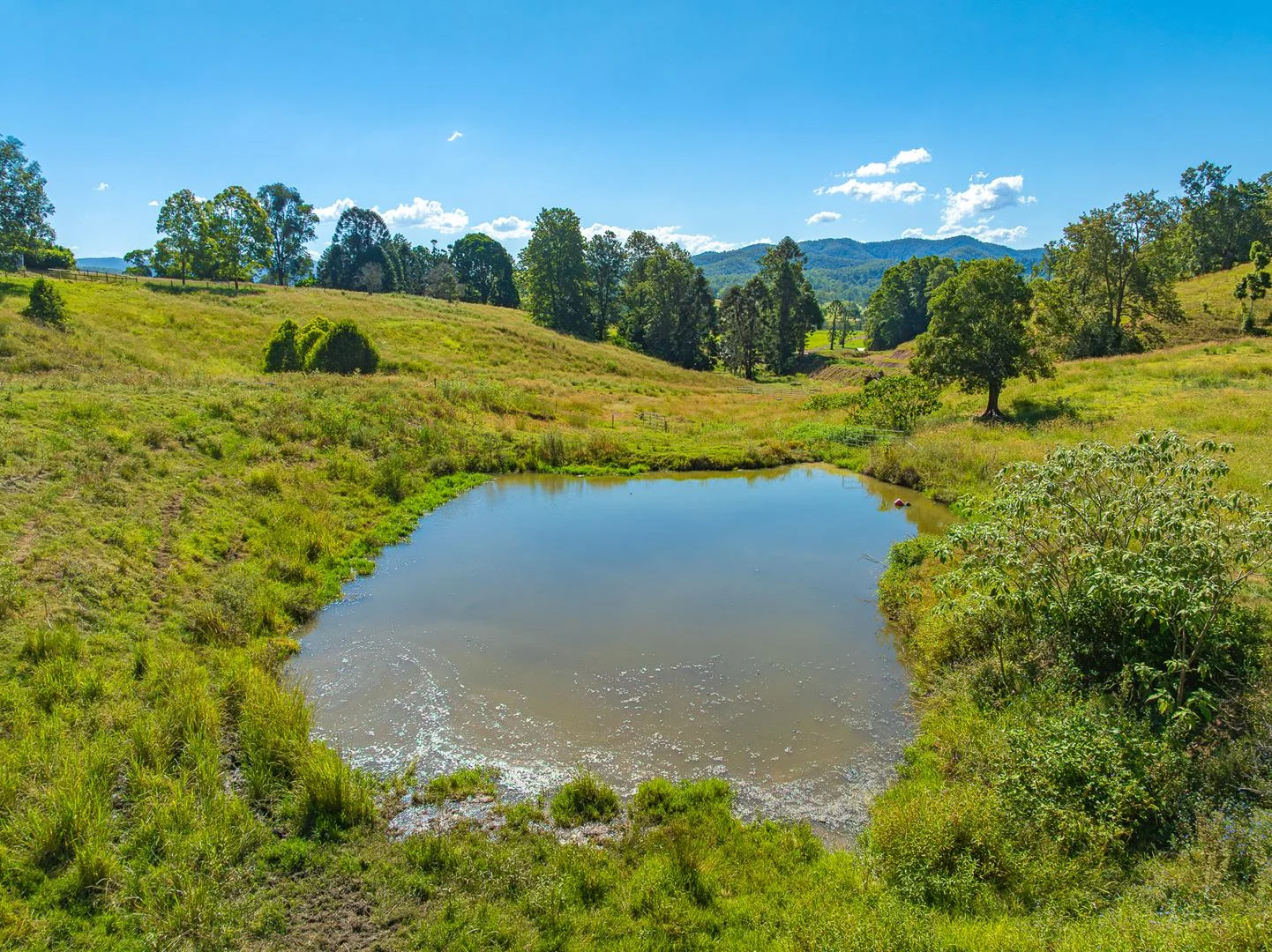 Additional image 28 of 343 Walli Mountain Road, Kenilworth QLD 4574