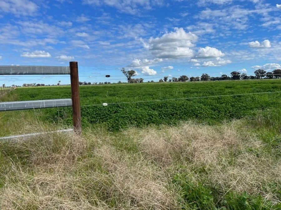 Additional image 34 of 268 ANDREWS ROAD, Brookdale NSW 2656