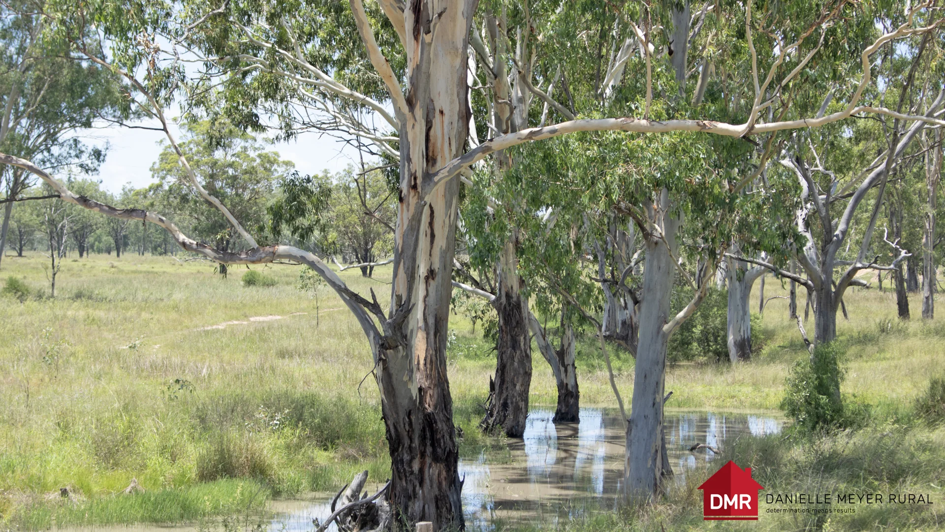 Additional image 19 of 8 Screening Plant Road, Cynthia QLD 4627