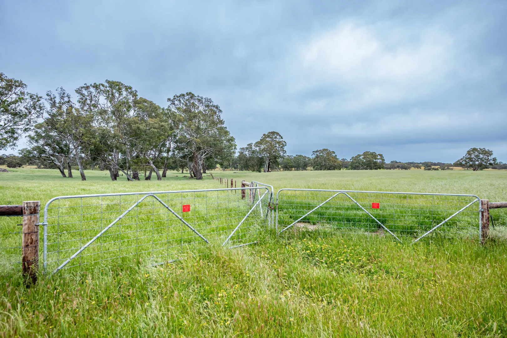 Additional image 15 of Corner Roy Lawries road and Pedericks Road, Lochaber SA 5271