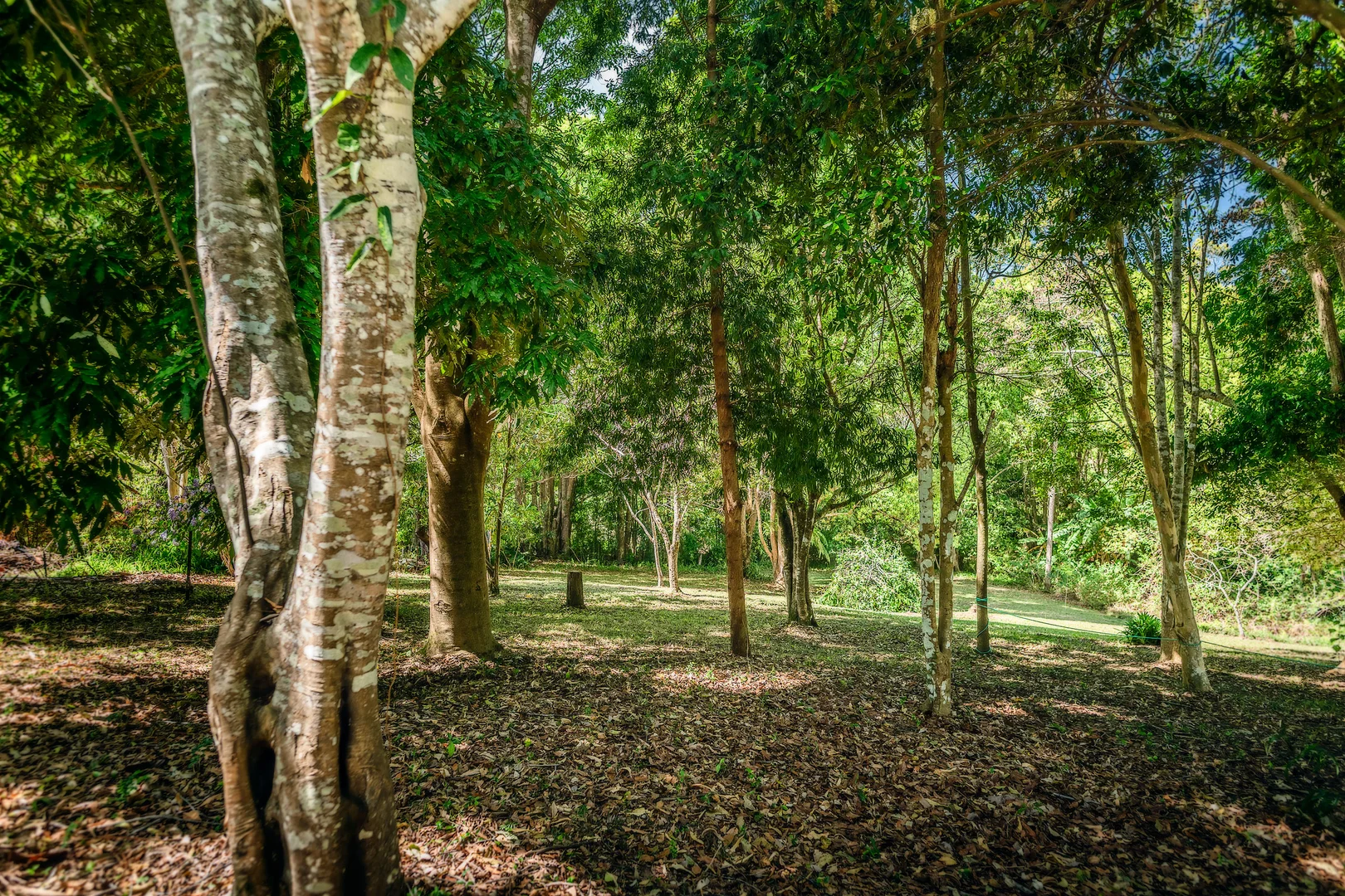 Additional image 38 of 2 Tibouchina Close, Bellingen NSW 2454