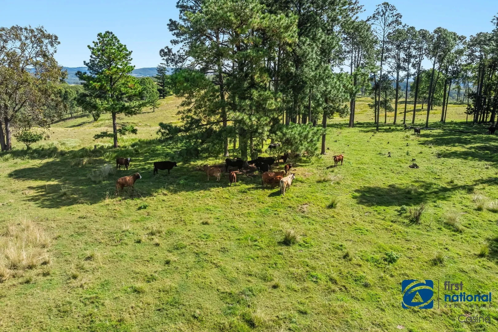 Additional image 15 of 1130-1158 Dyraaba Road, Dyraaba NSW 2470