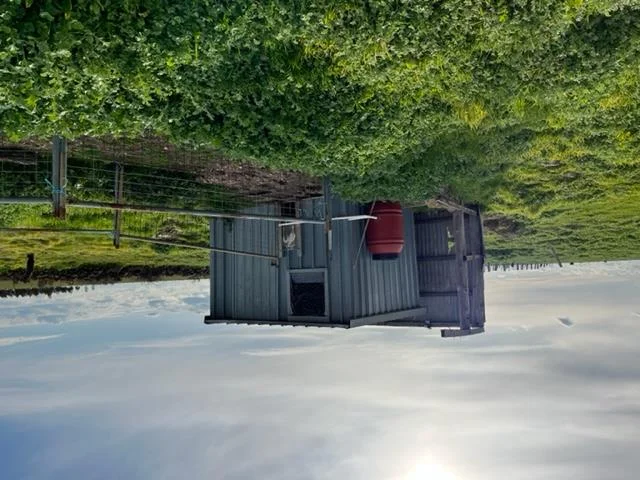 Additional image 13 of 31B/259 Greenoch Road, Red Lion VIC 3371