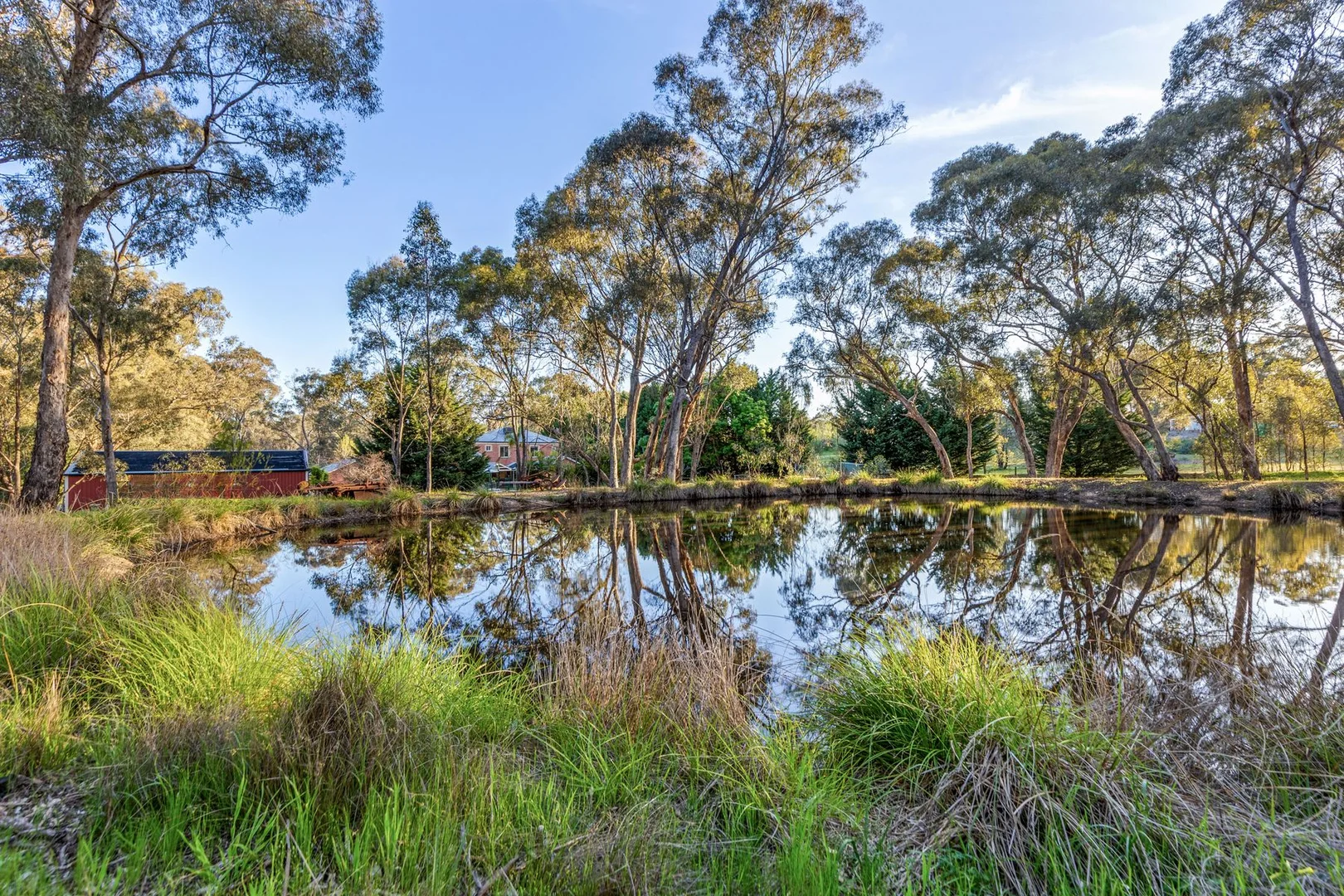 Additional image 26 of 553 Strathfieldsaye Road, Strathfieldsaye VIC 3551