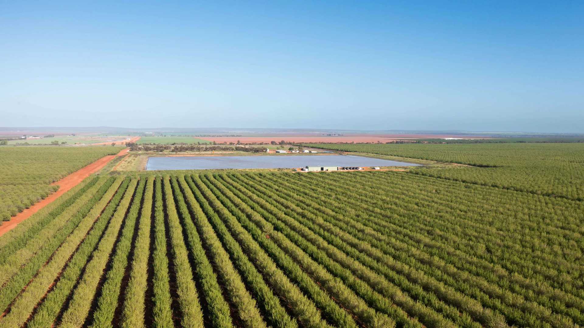 Additional image 4 of Griffith NSW 2680