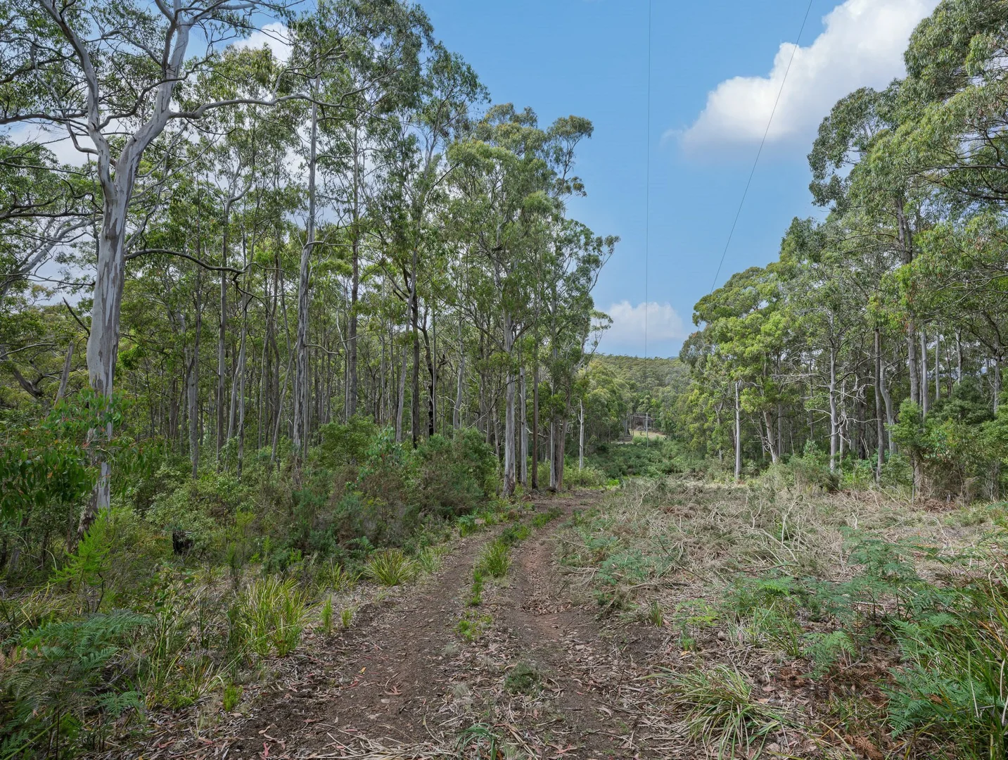 Additional image 4 of PID 6409528 Esk Main Road, St Marys TAS 7215