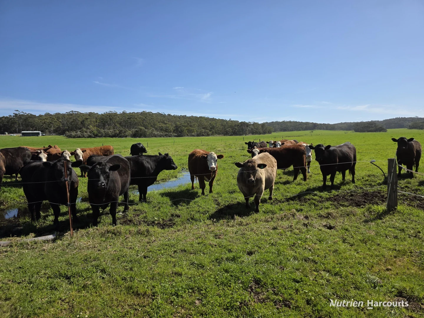 Additional image 3 of 60 Skippings Road, Kordabup WA 6333