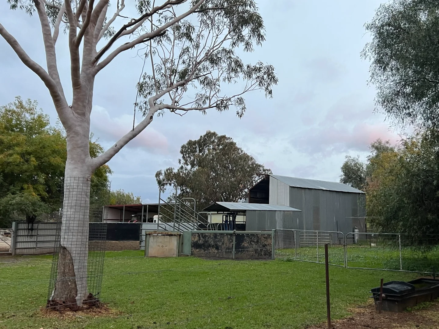 Additional image 19 of Gooloogong NSW 2805