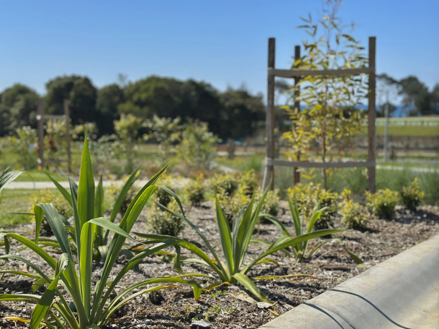 Additional image 13 of The Anchorage Way, Diamond Beach NSW 2430