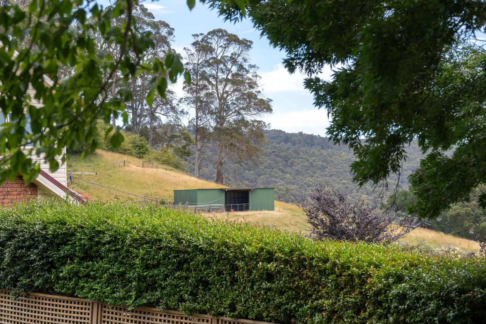 Additional image 27 of 74 Morris Rd, Melrose TAS 7310