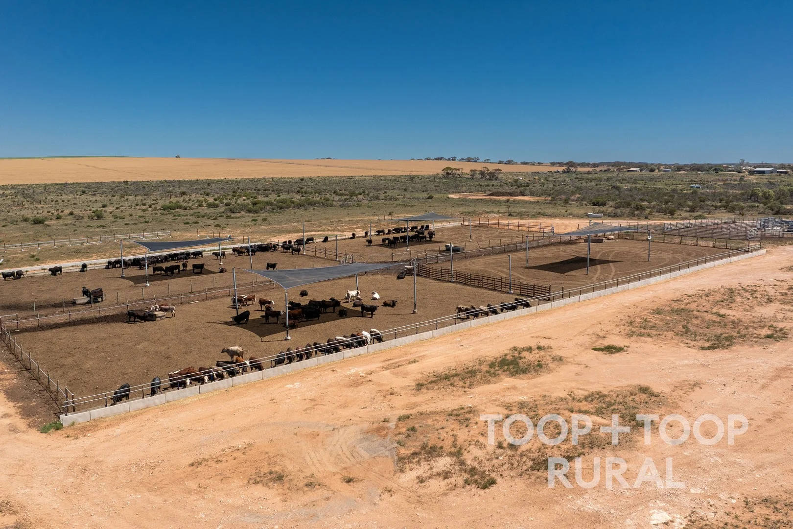 106 Hunter Road, Nildottie SA 5238