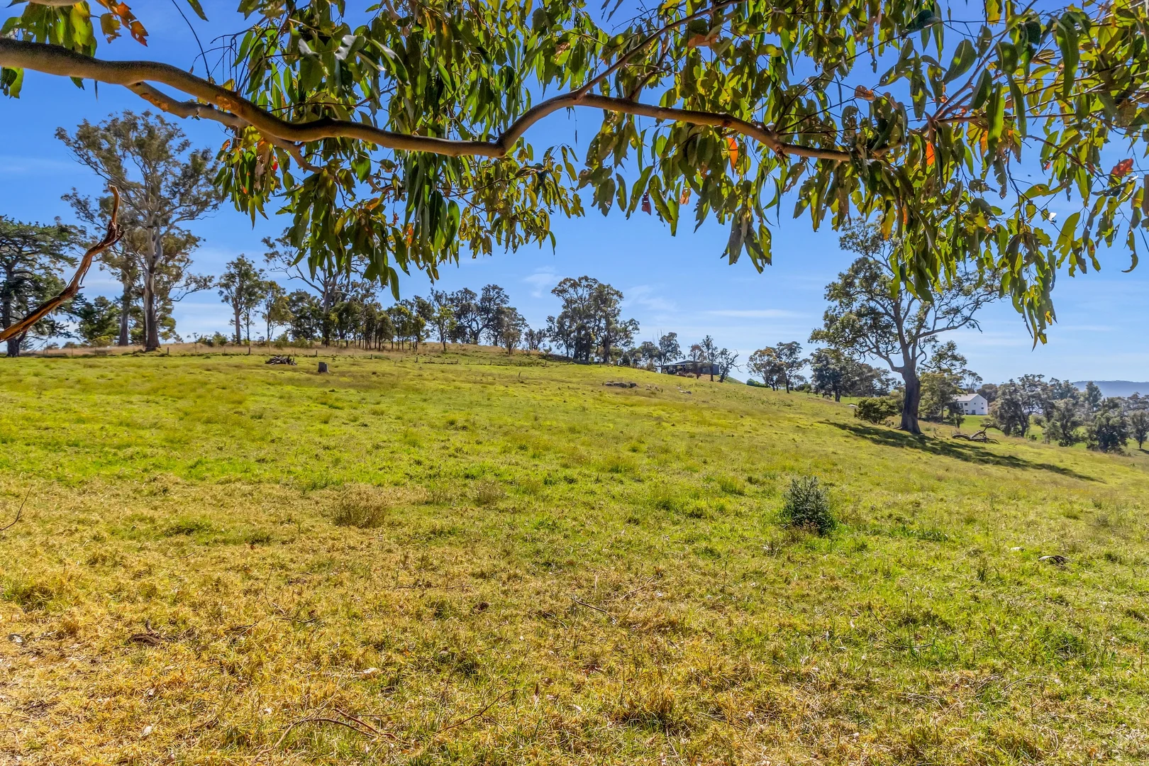 Additional image 29 of 90 Kerrisons Lane, Bega NSW 2550