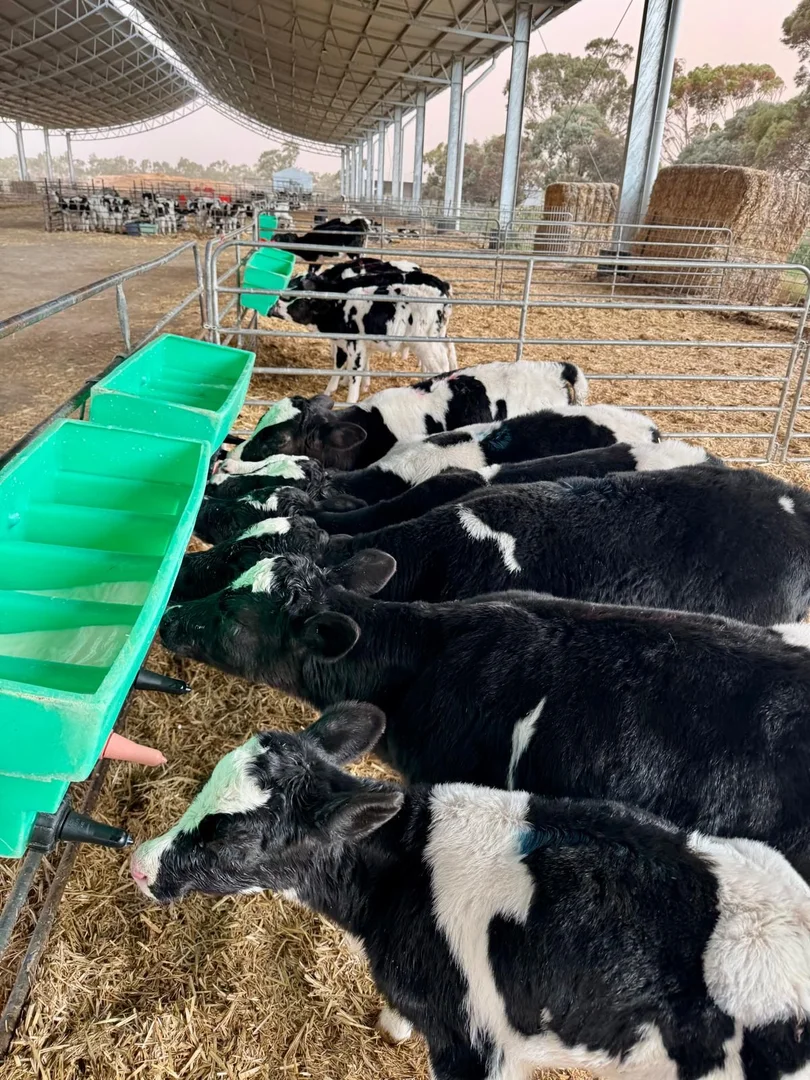 Additional image 16 of 5104B Murray Valley Highway, Castle Donnington VIC 3585