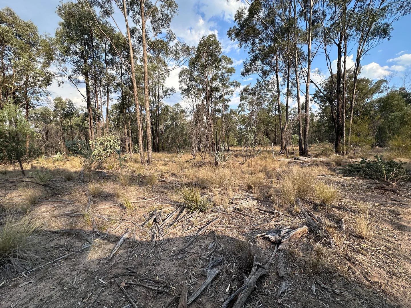 Additional image 21 of 15778 Surat Development Road, Goranba QLD 4421