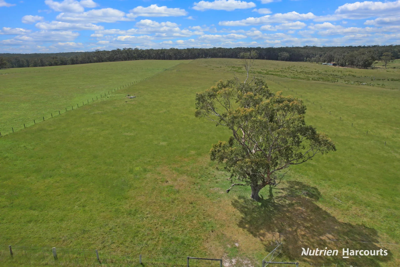 Additional image 12 of 5315 Hyland Highway, Won Wron VIC 3971
