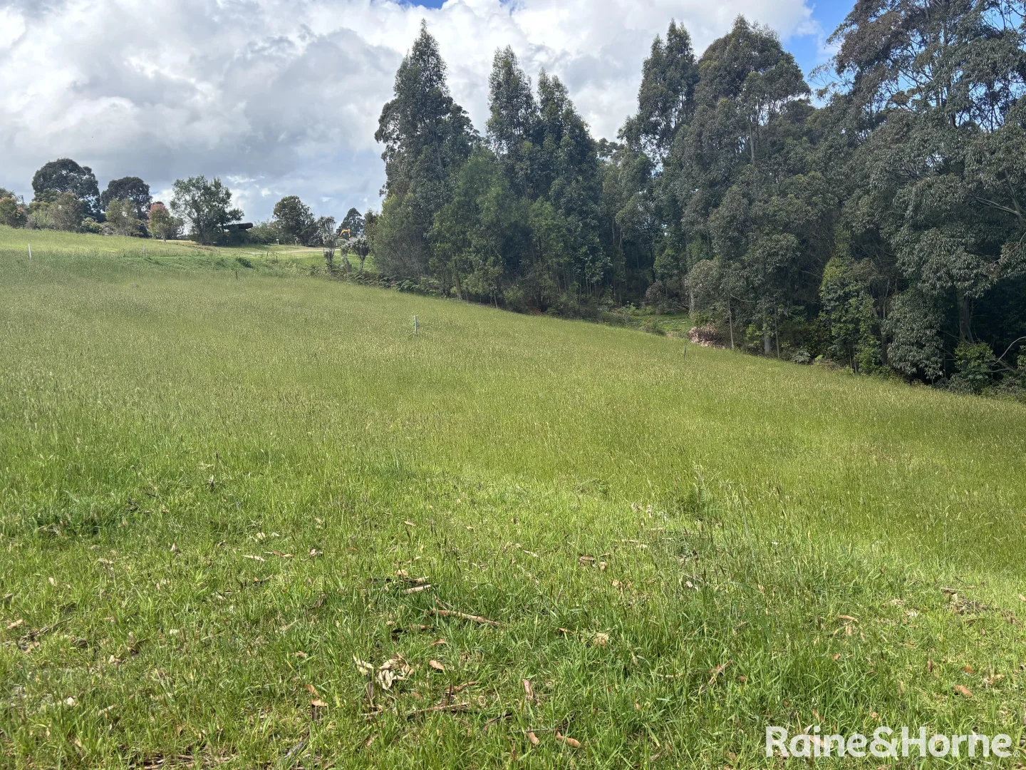 Additional image 11 of 2 Wishart Place, Denmark WA 6333