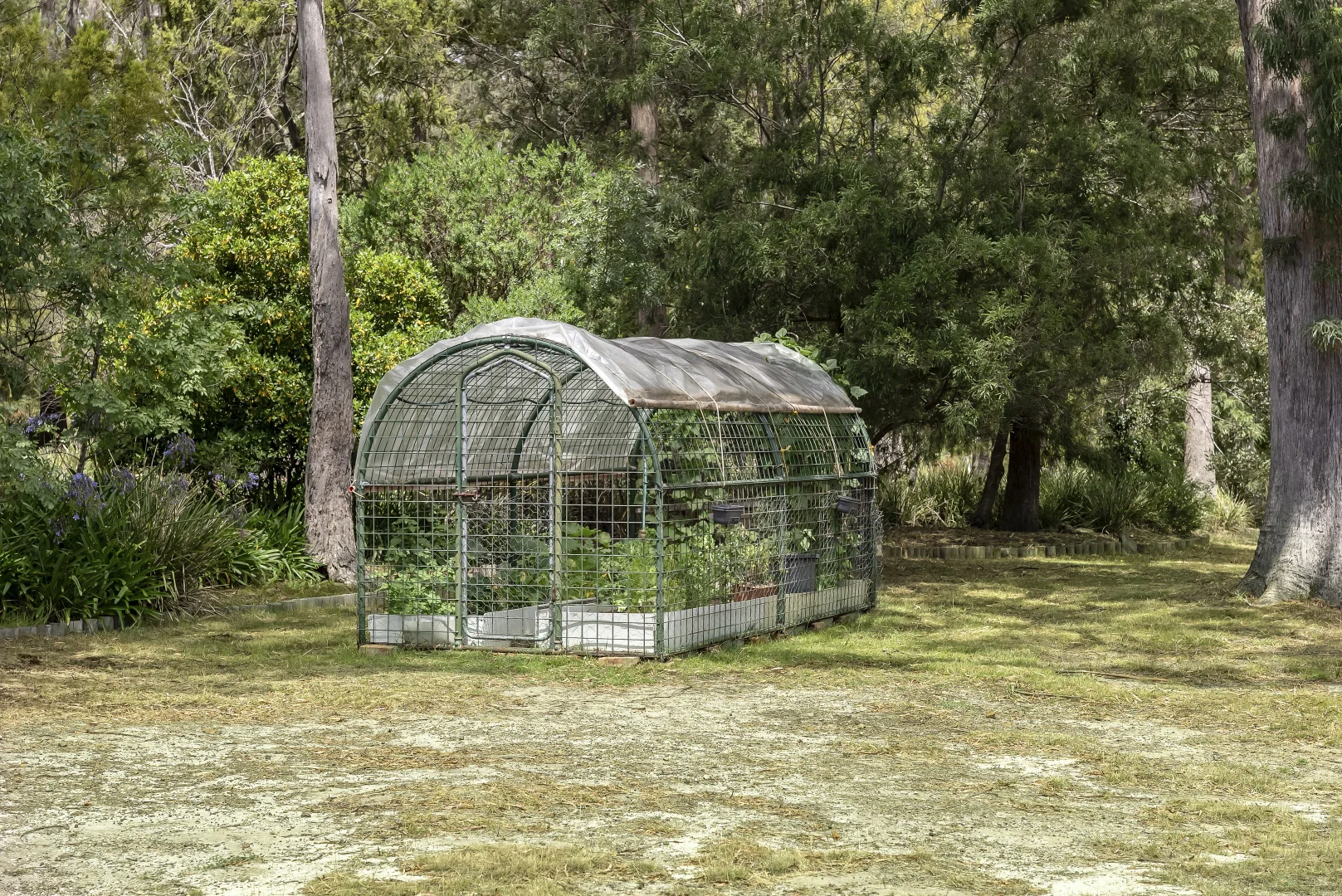 Additional image 28 of 709 Deviot Road, Deviot TAS 7275