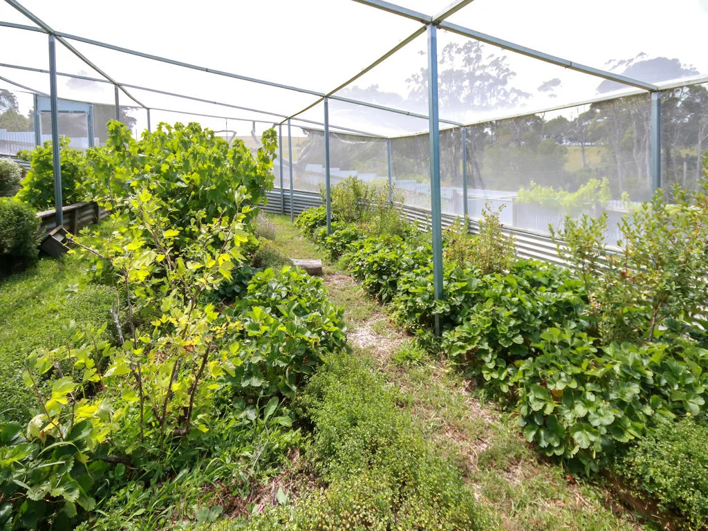 Additional image 26 of 211 Upper Scotchtown Road, Scotchtown TAS 7330