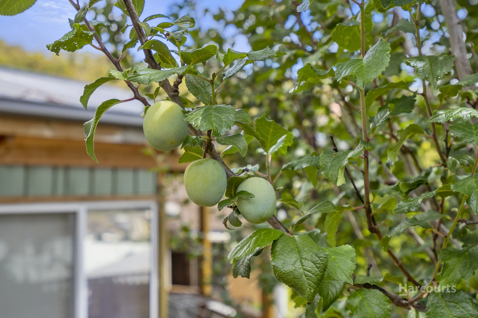 Additional image 33 of 28 Ogilvie Street, Mount Stuart TAS 7000