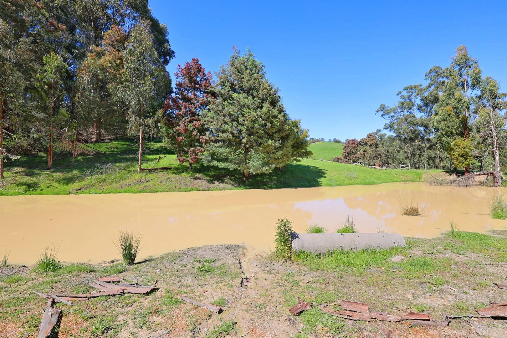 Additional image 20 of 196 Peters Road, Ellinbank VIC 3821