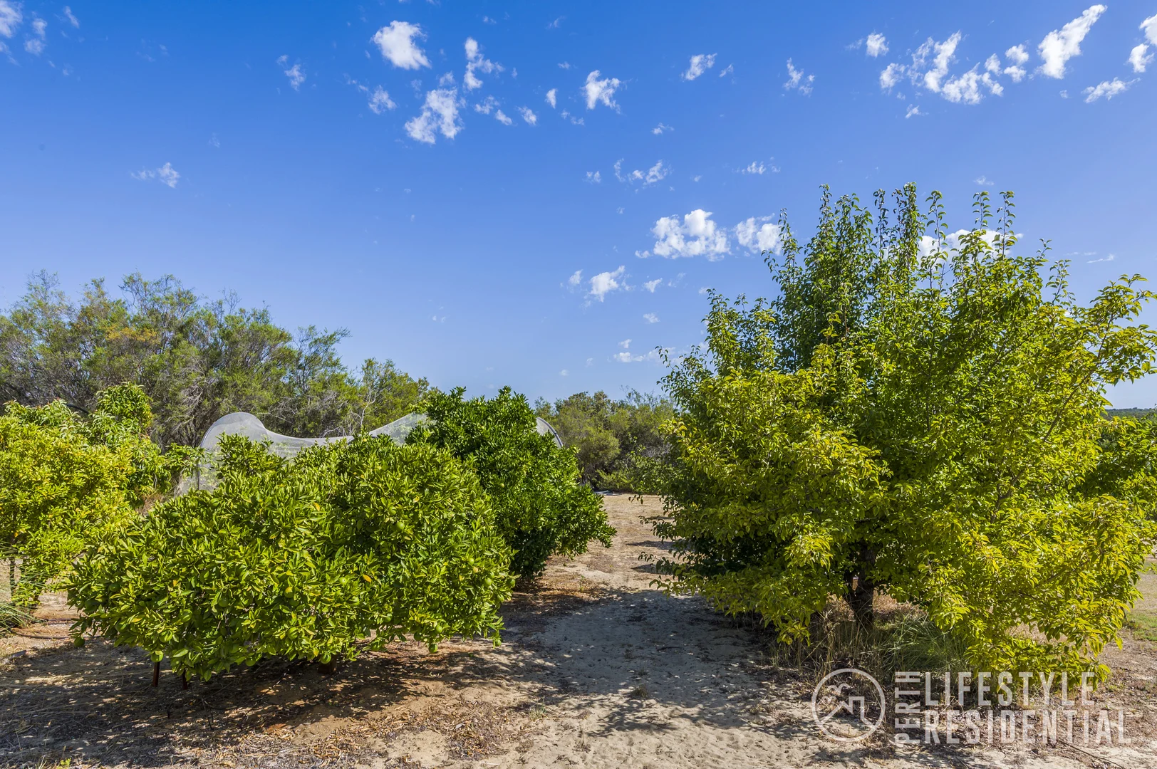 Additional image 34 of 175 Woolly Bush Loop, Woodridge WA 6041