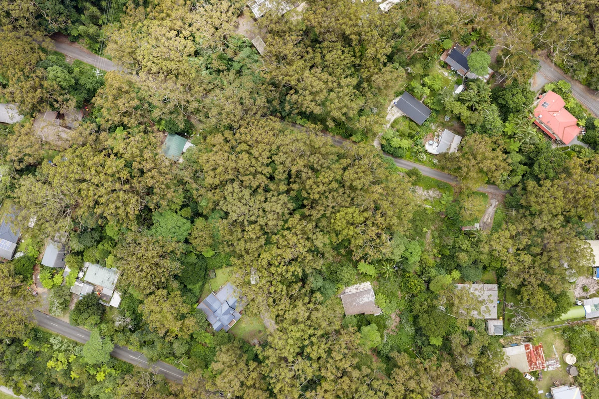 Additional image 17 of 5 Banksia Road, Springbrook QLD 4213