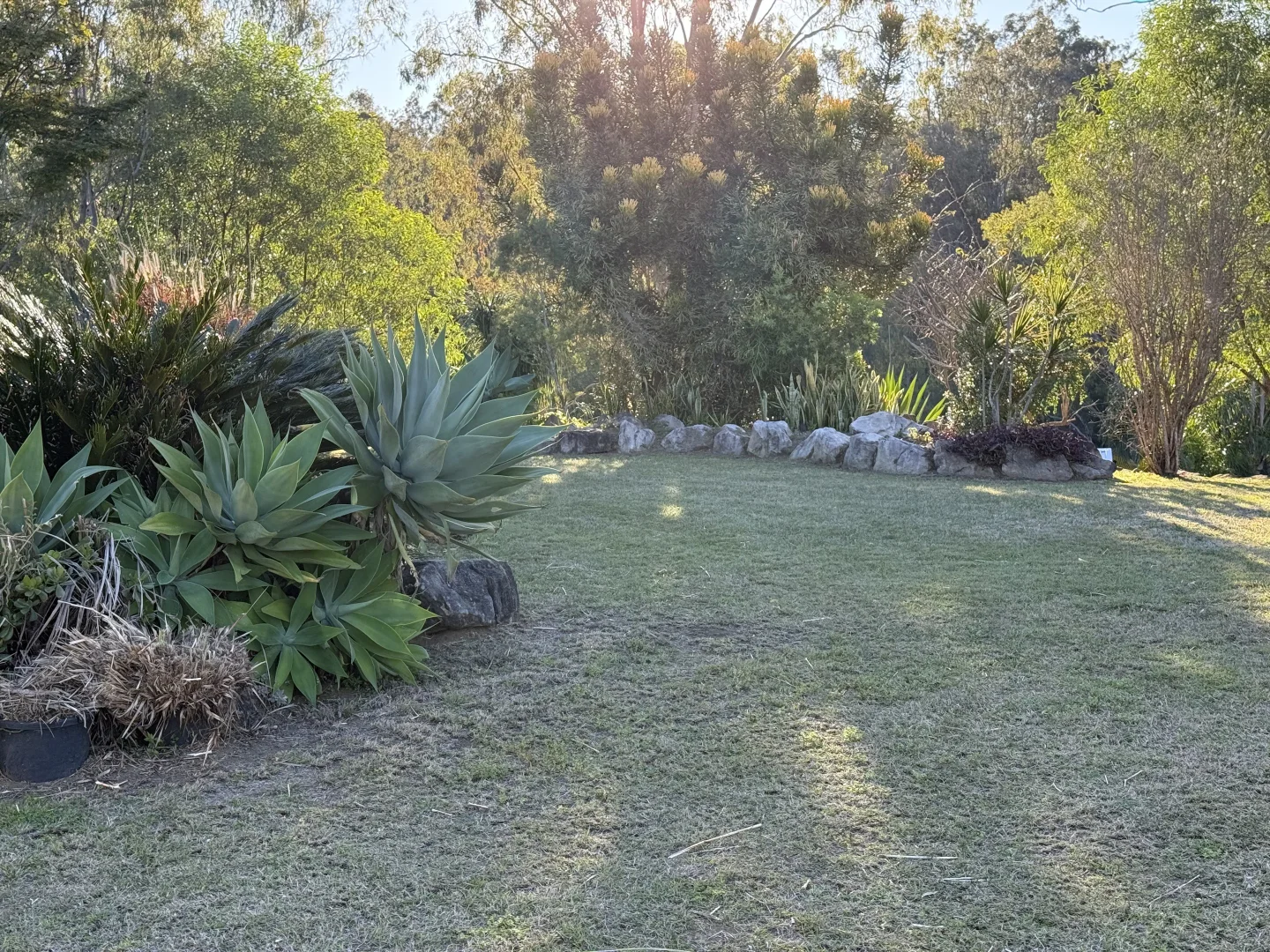 Additional image 26 of 244 Routley Drive, Kooralbyn QLD 4285