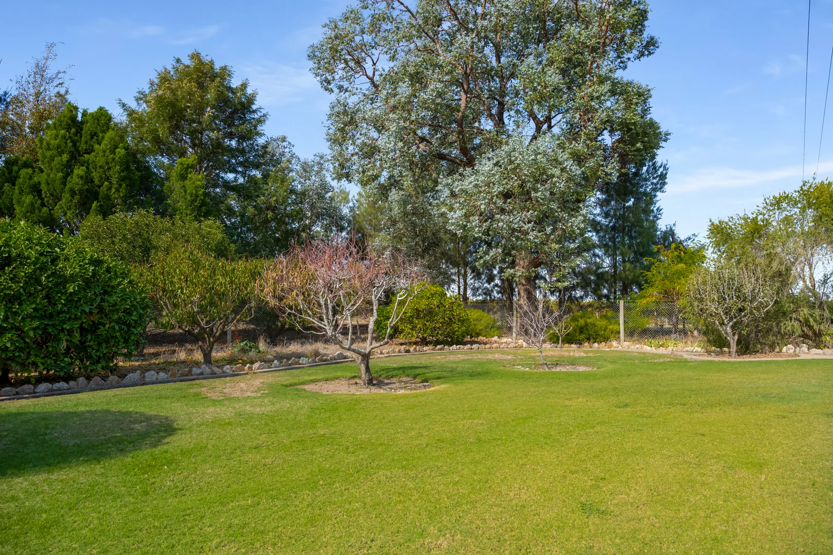 Additional image 31 of 14687 Riddoch Hwy, Coonawarra SA 5263