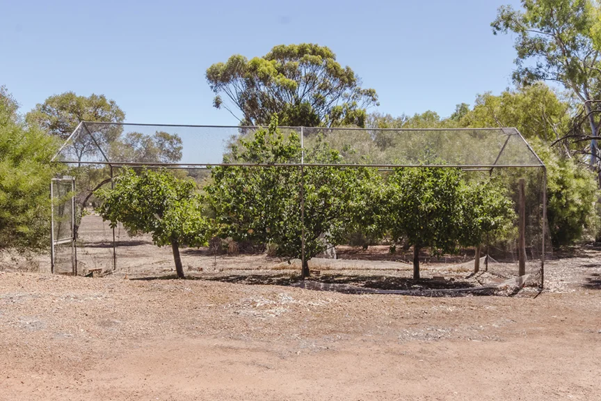 Additional image 25 of 40 Callan Way, Hillside WA 6312