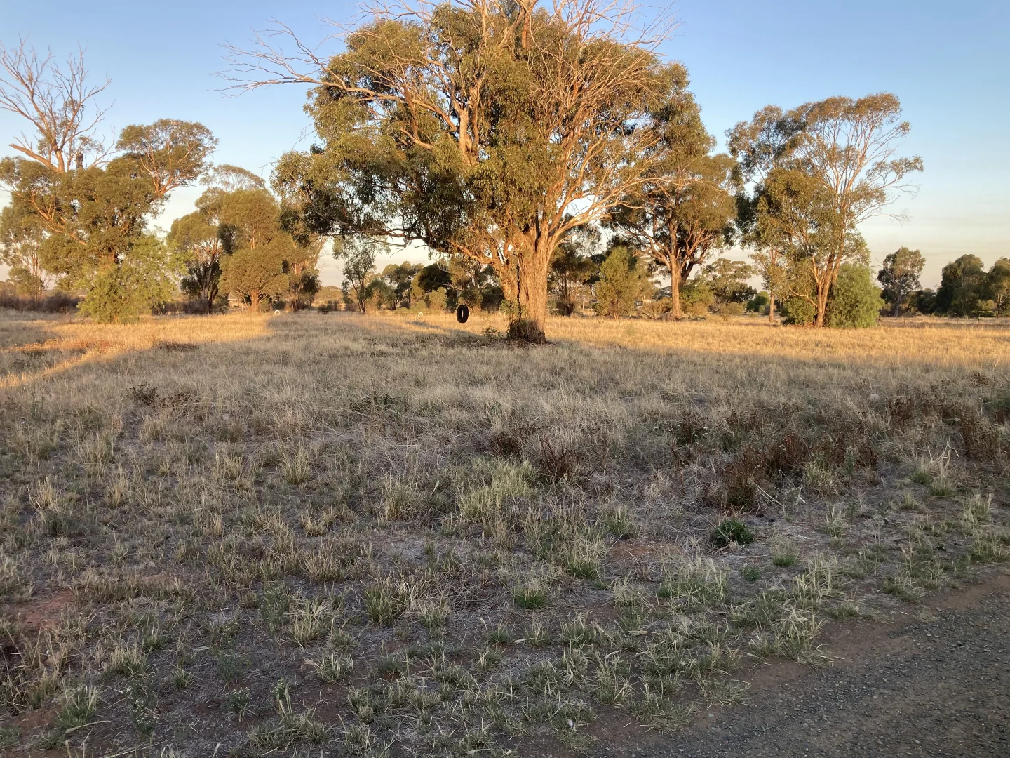 Additional image 2 of 22-28 Martin Street, Barmedman NSW 2668