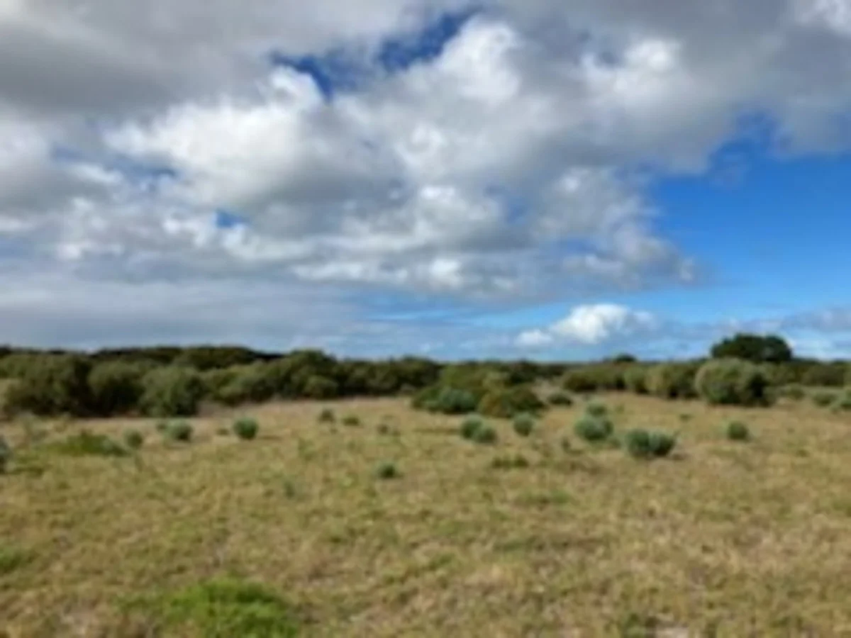 Additional image 3 of Section lot 38 Nugent Road, Foul Bay SA 5577