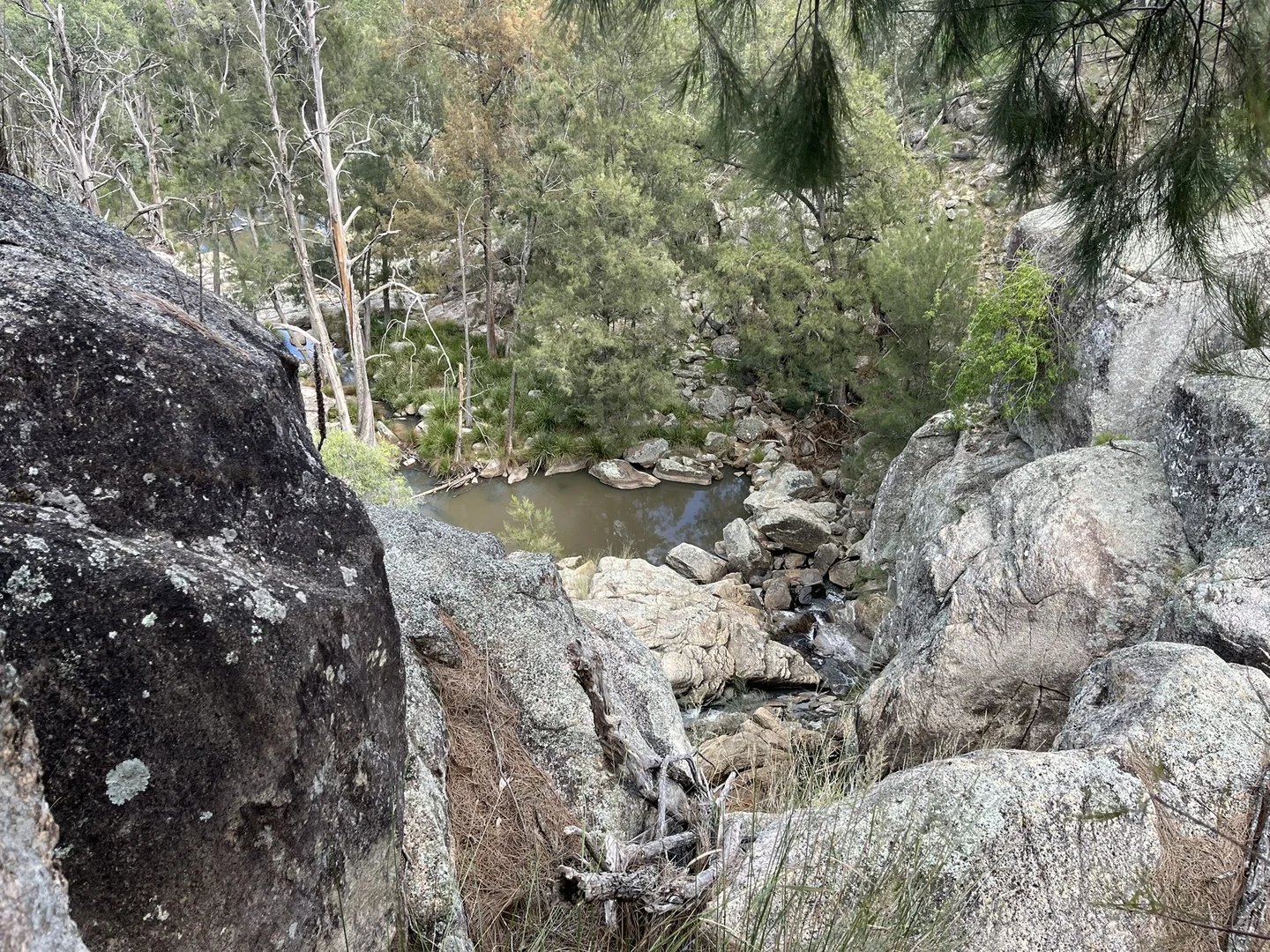 Additional image 8 of Bald Rock Bendemeer Road, Kingstown NSW 2358