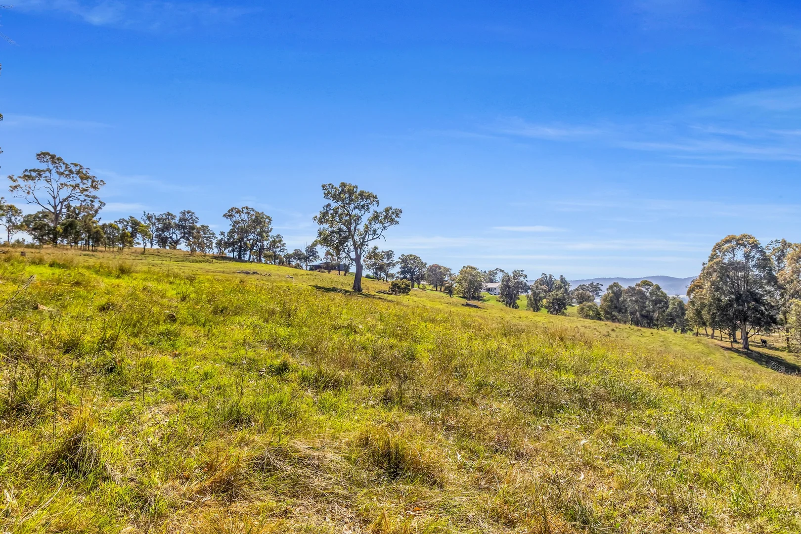 Additional image 28 of 90 Kerrisons Lane, Bega NSW 2550