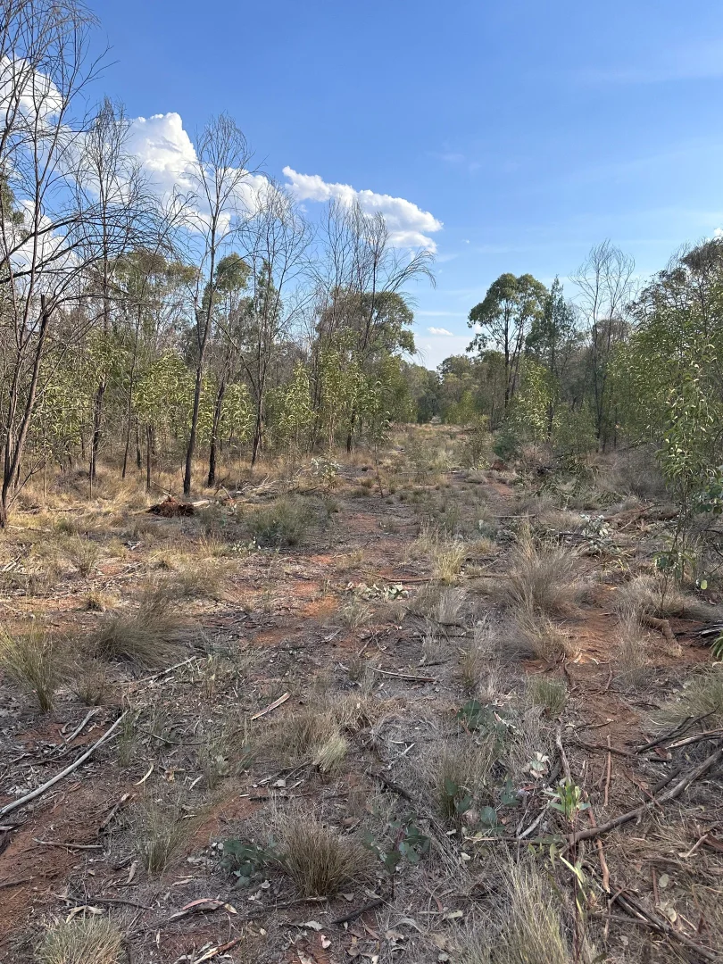 Additional image 20 of 15778 Surat Development Road, Goranba QLD 4421