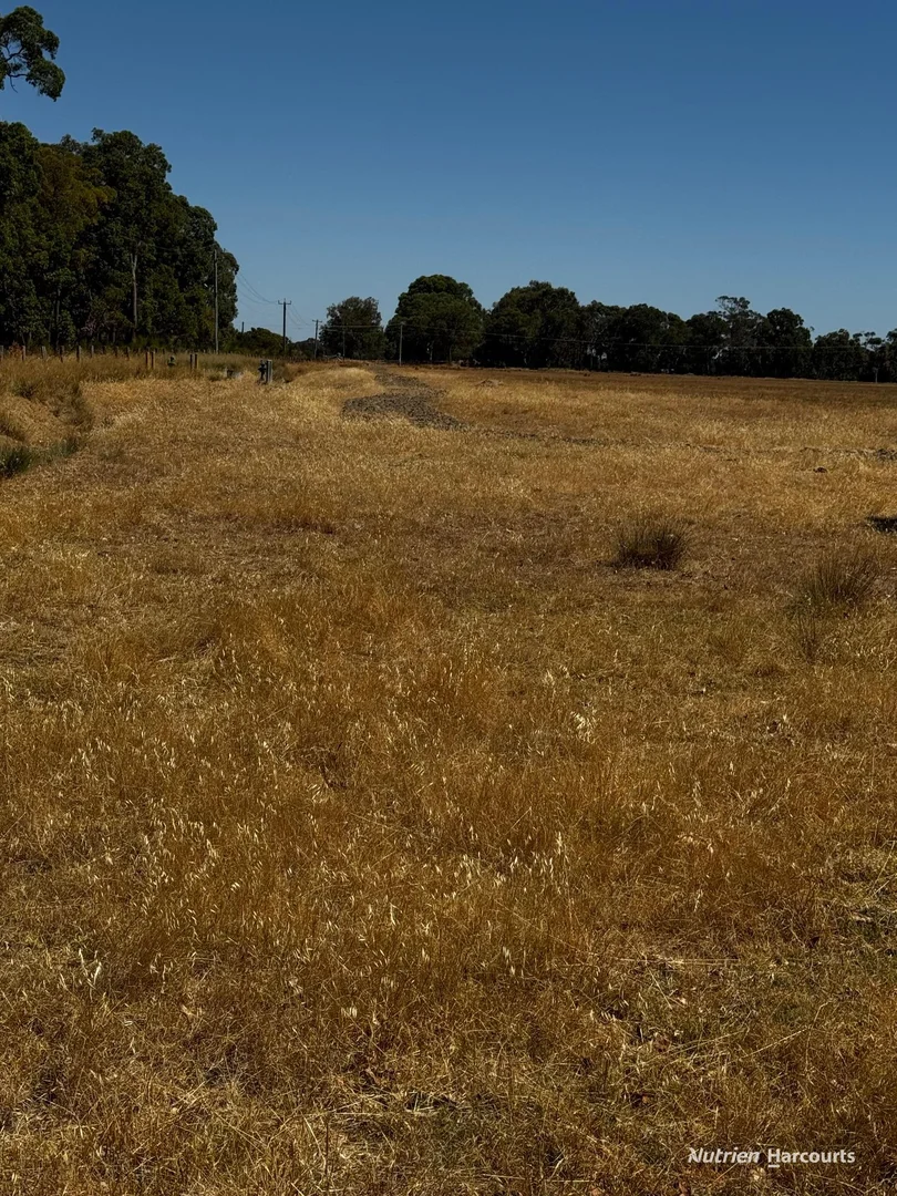 Additional image 6 of Lot 204 Fisherman's Road, Coolup WA 6214