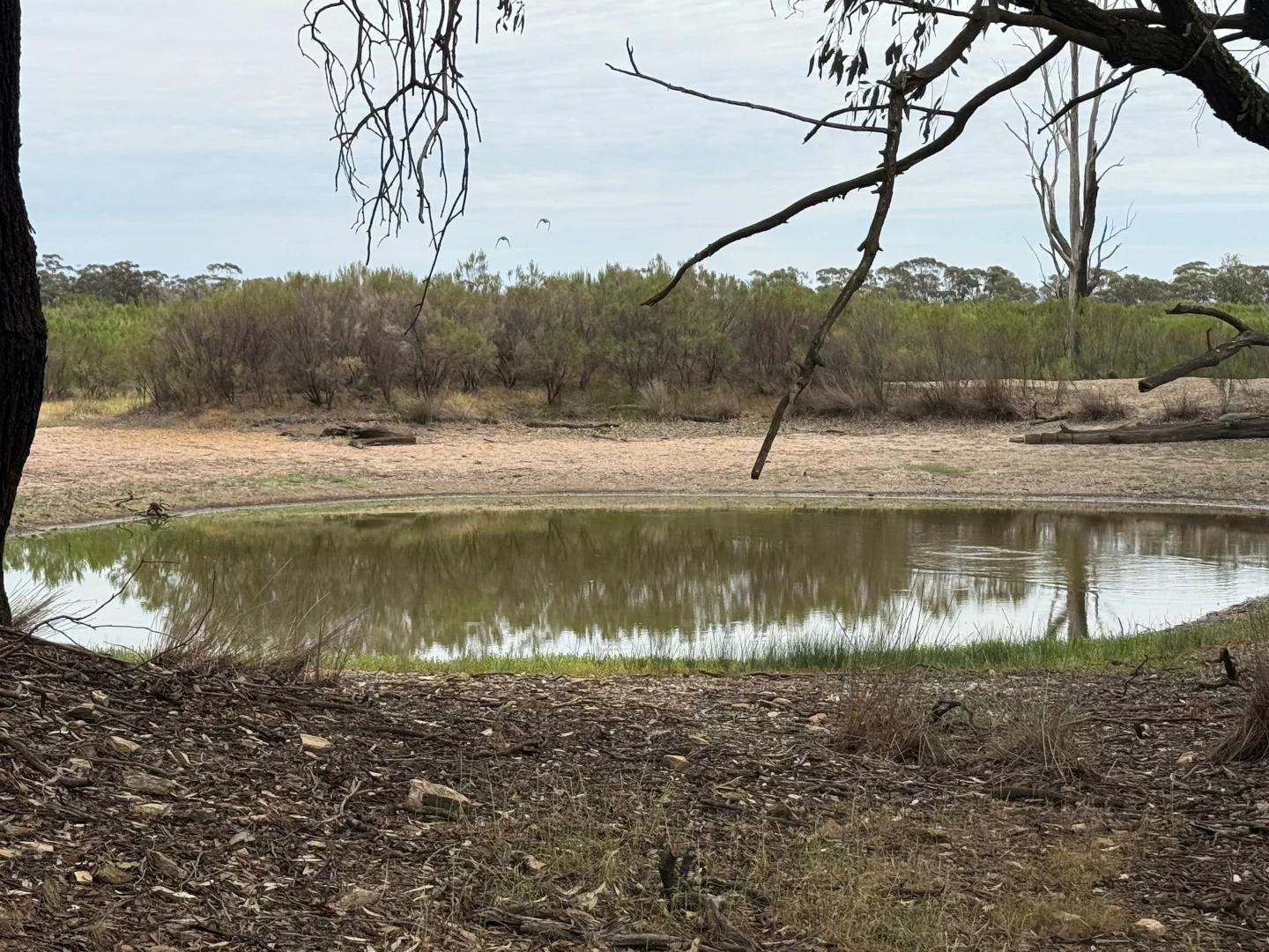 Additional image 5 of 'The Backwoods' 1054 Burley Griffin Way, Temora NSW 2666