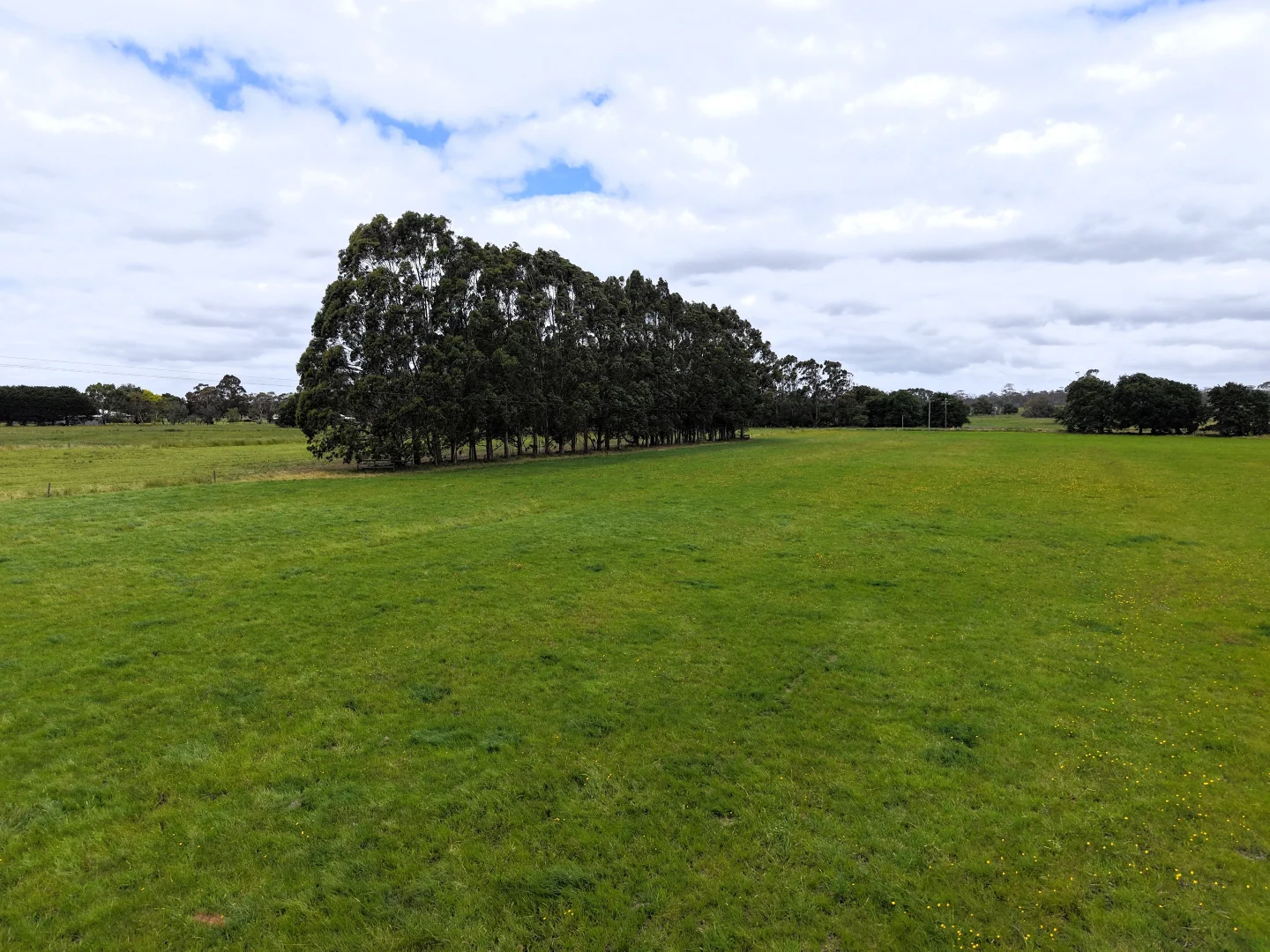 Additional image 10 of 401 Purrumbete Estate Road, Koallah VIC 3260