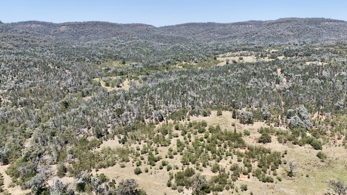 Additional image 20 of 957 Killarney Gap Road, Bingara NSW 2404