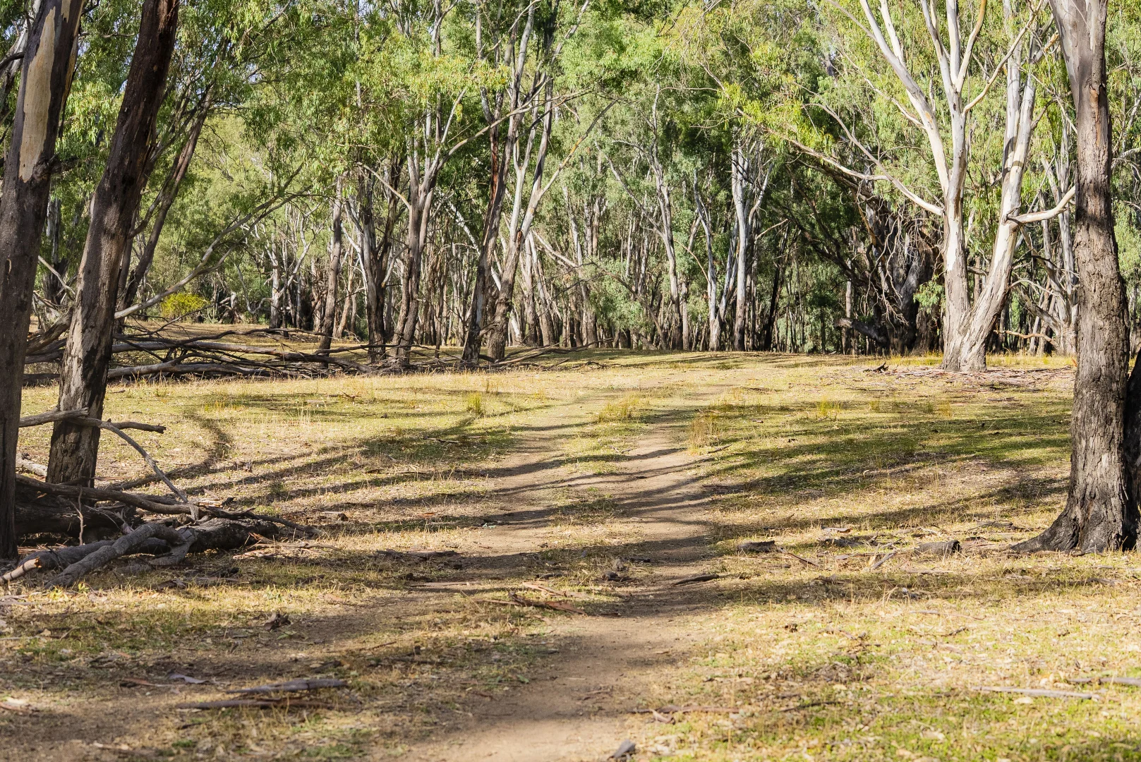 Additional image 15 of 1152 Central Island Road, Galore NSW 2650