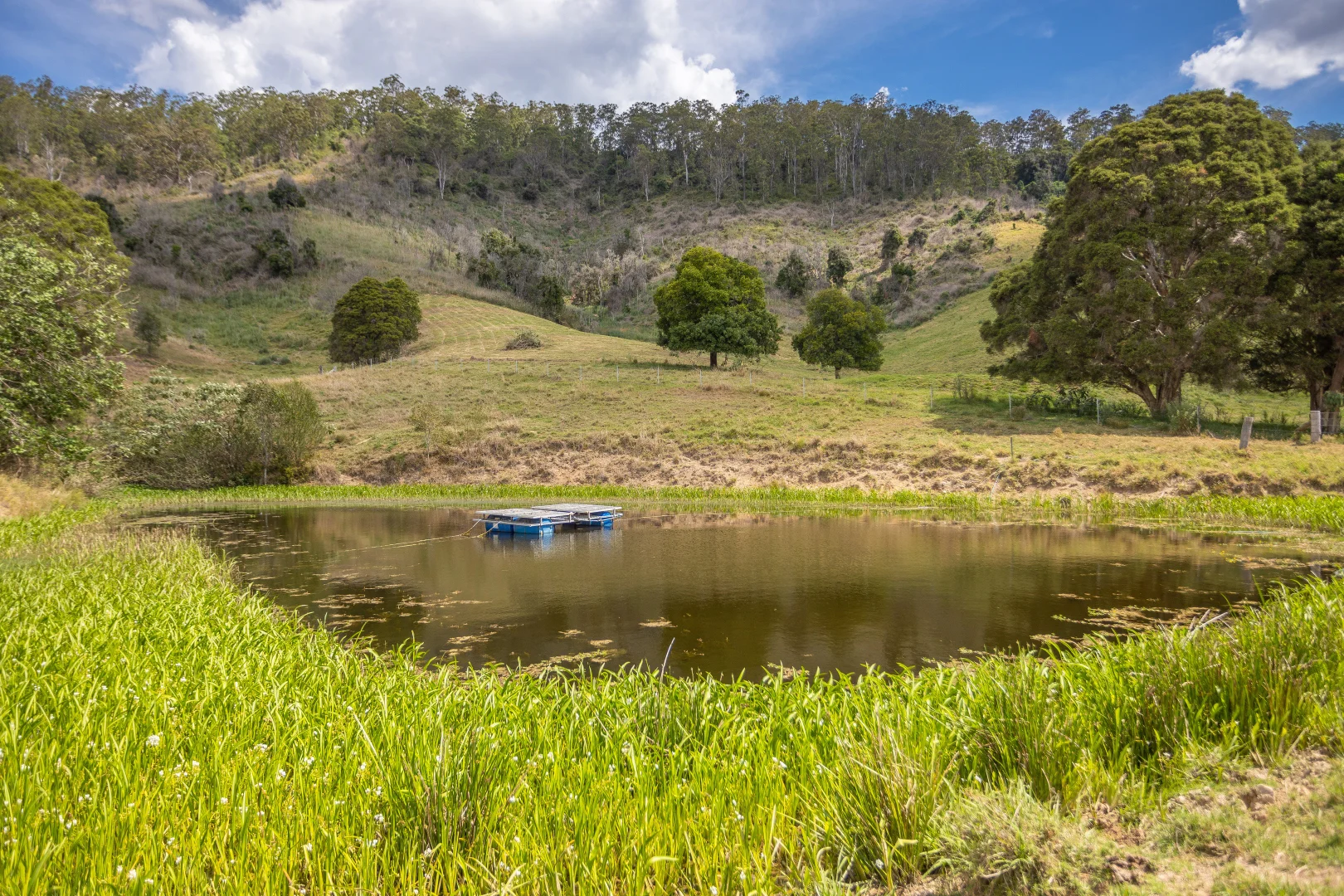 Additional image 28 of 129 Days Road, Belbora NSW 2422