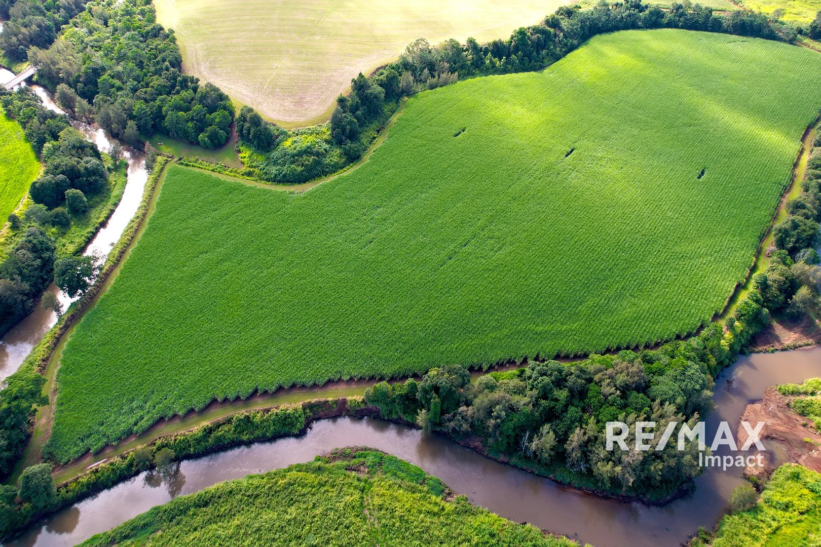 Additional image 16 of 4749 Gillies Range Road, East Barron QLD 4883