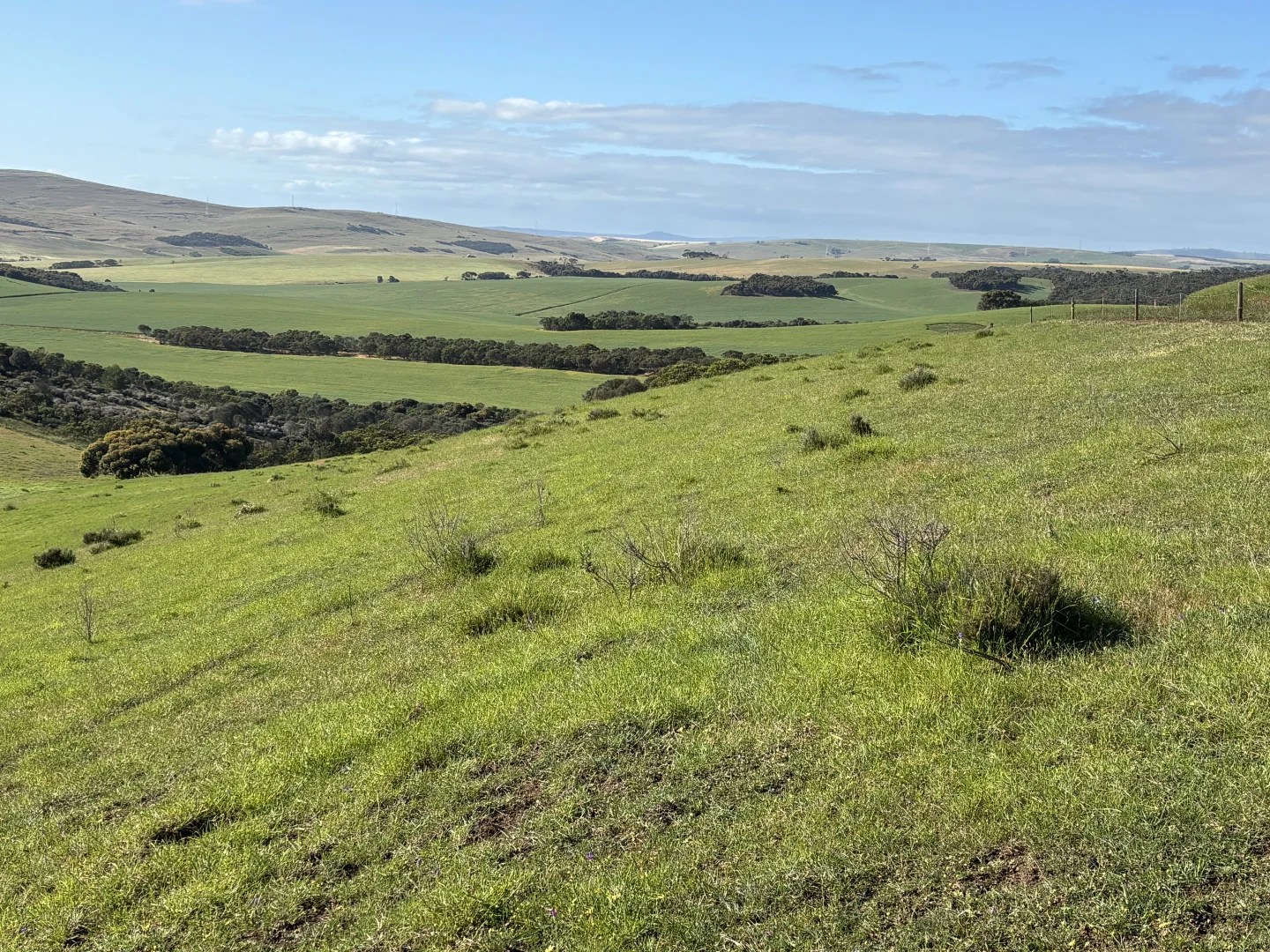 Additional image 30 of 251 Reservoir Drive, Whites Flat SA 5607