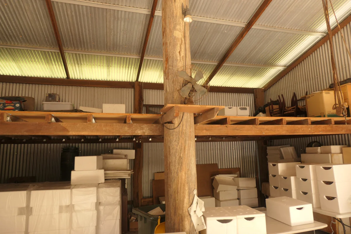 Additional image 27 of Bulldog NSW 2469