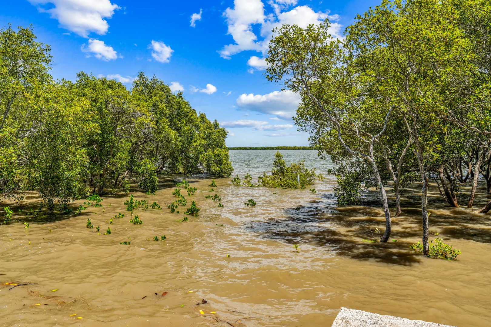 Additional image 31 of 128 Palm Beach Road, Russell Island QLD 4184