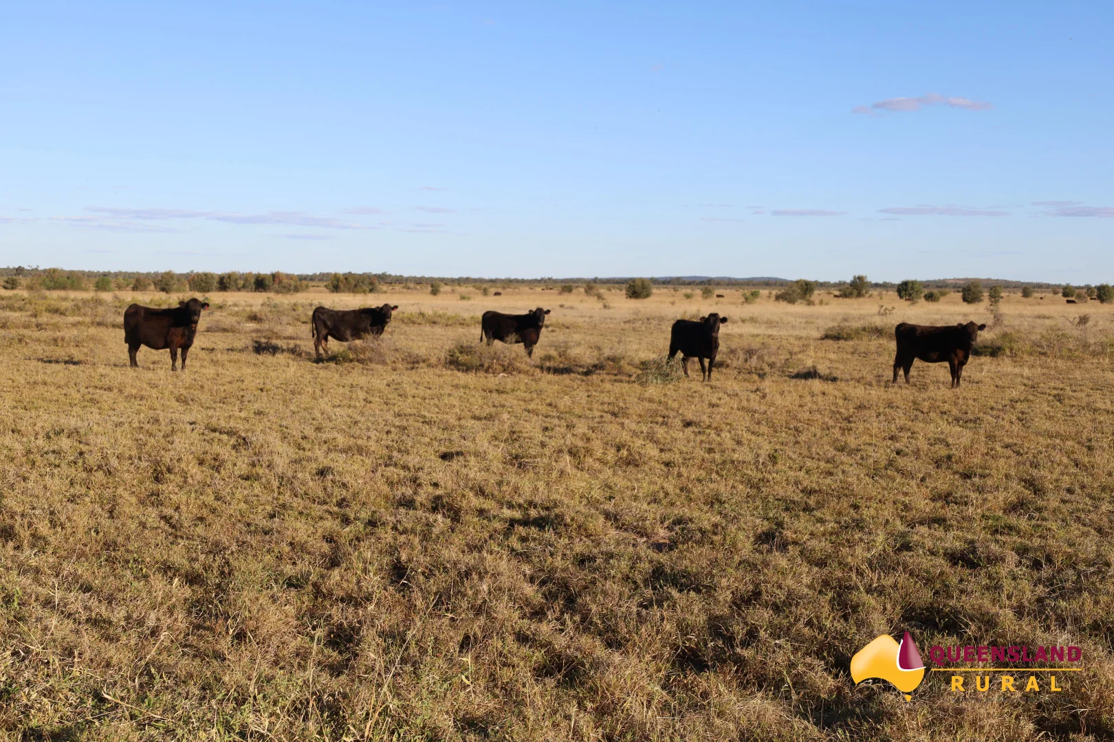 Additional image 19 of Llanarth QLD 4820