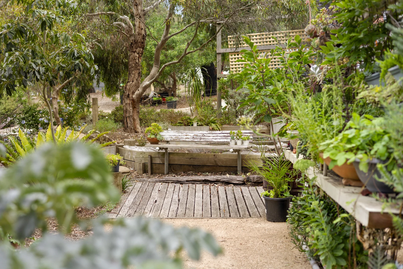 Additional image 15 of 17 Narani Way, Fairhaven VIC 3231