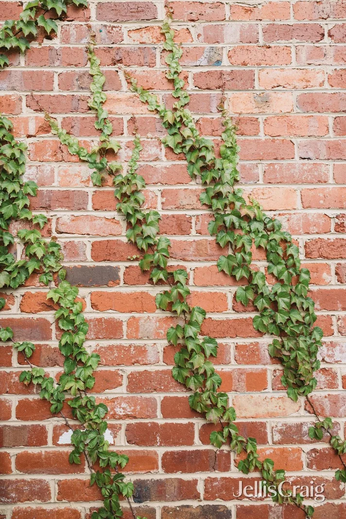 Additional image 18 of 19 Hurst Drive, New Gisborne VIC 3438