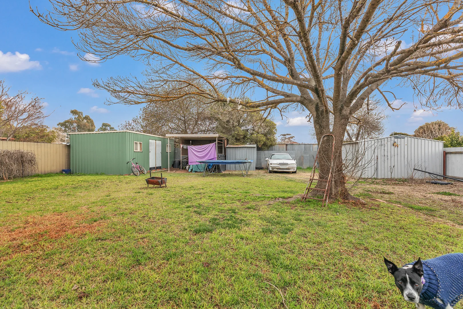 Additional image 15 of 32 Bindon Street, Nathalia VIC 3638